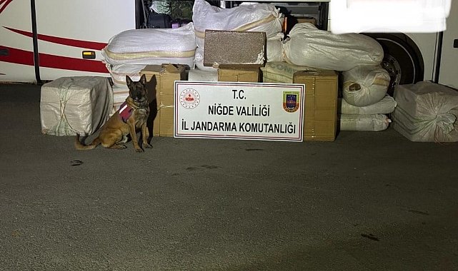 Niğde'de 80 bin makaron, 870 kilo kaçak tütün ele geçirildi