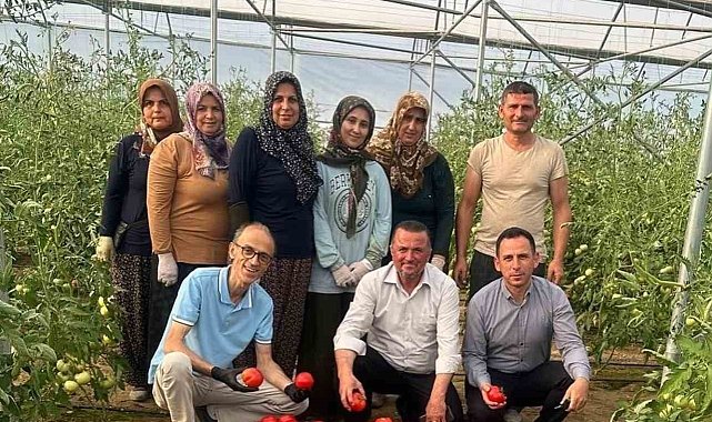 OKA desteğiyle Kargı'da kurulan serada ilk hasat yapıldı