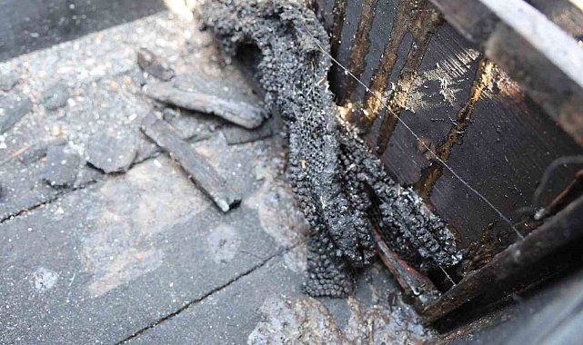 Orman yangınında 15 kovan arı telef oldu