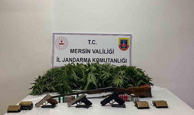 Ormanda ve bahçede uyuşturucu yetiştiren şüpheliler yakalandı