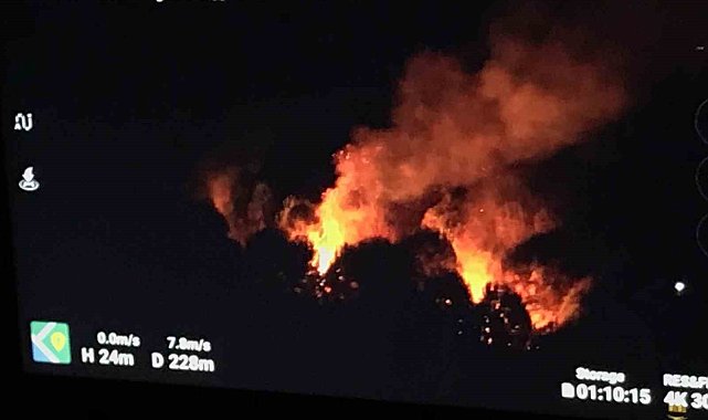 Ormanlık alanda çıkan yangın ekipleri seferber etti