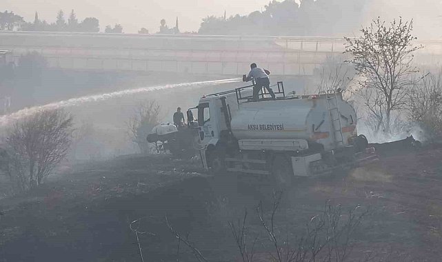 Ormanlık alanda çıkan yangın seralara sıçradı