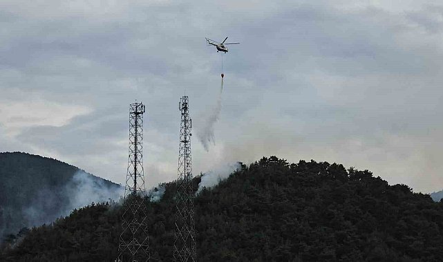 Ormanlık alandaki yangın 4 saatte kontrol altına alındı