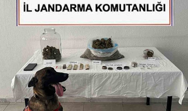 Ortaca'da uyuşturucu operasyonu: 1 tutuklama
