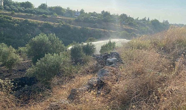 Osmaniye&#039;de çıkan anız yangını zeytin bahçesine sıçradı