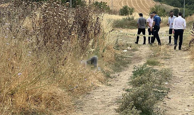 Otluk alanda cansız bedeni bulundu