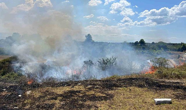 Otluk alanda çıkan yangını söndürmek için ekipler seferber oldu