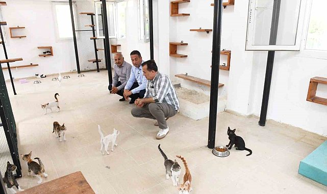 Özyiğit: "3 aylık bir sürede 11 köpeğimizi sahiplendirdik"