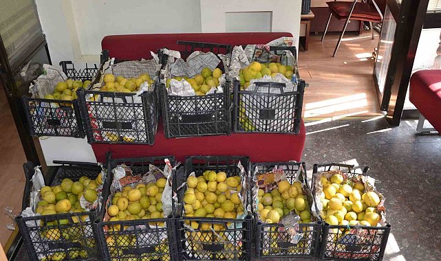 Pazarda el yakan limona oda başkanı çözüm buldu