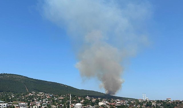 Pendik Aydos Ormanı'nda yangın çıktı. Olay yerine çok sayıda itfaiye ekibi sevk edildi.