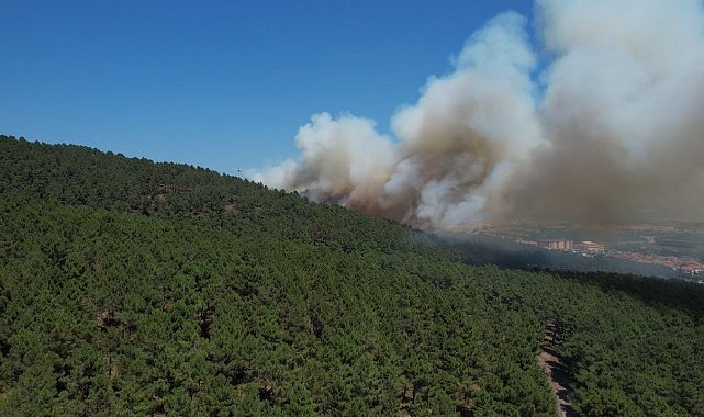 Pendik Aydos Ormanı'ndaki yangın havadan görüntülendi