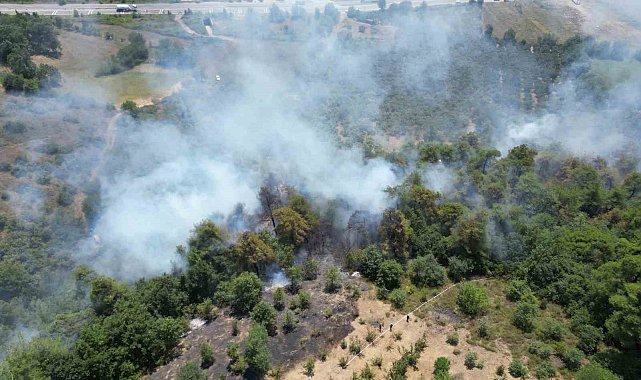 Sakarya'da çıkan orman yangını havadan görüntülendi