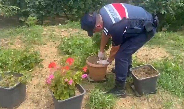 Sakarya&#039;da uyuşturucu operasyonları: 21 gözaltı