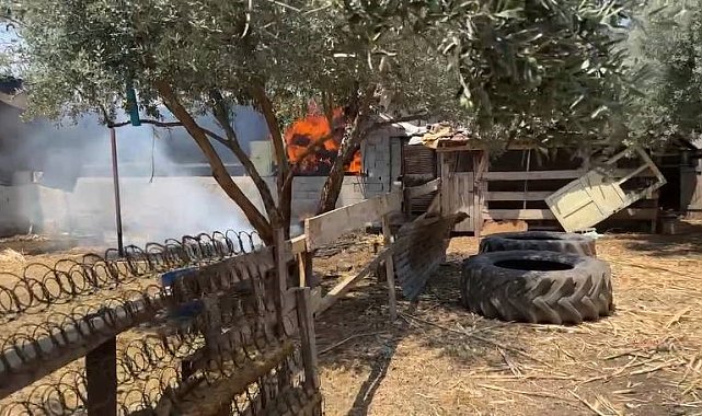 Samanlık yangını büyümeden söndürüldü