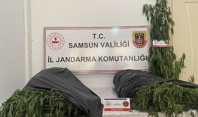Samsun'da jandarmadan uyuşturucu operasyonu: 3 gözaltı