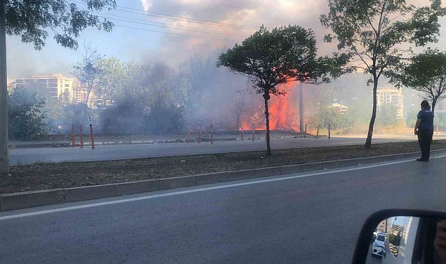 Samsun'da otluk alanda korkutan yangın
