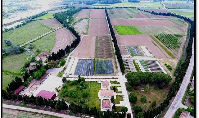 Samsun'da yılda 134 türde üretilen 10 milyon fidan Türkiye'yi yeşillendiriyor