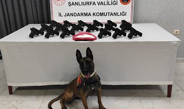 Şanlıurfa&#039;da 18 tabanca ele geçirildi: 2 gözaltı