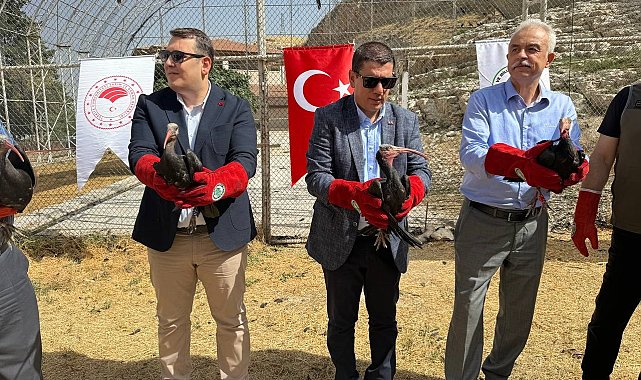 Şanlıurfa'da 30 kelaynak kuşu göç yoluna bırakıldı