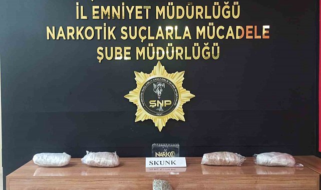 Şanlıurfa'da 6 kilo 550 gram skunk ele geçirildi