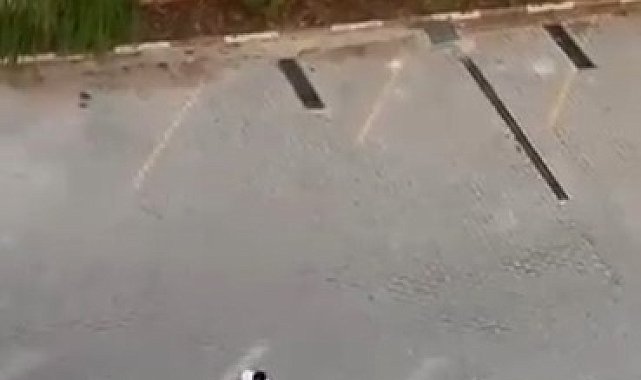 Şanlıurfa'da ölümüne dayak kamerada