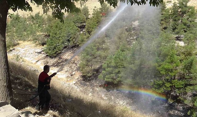 Şanlıurfa&#039;da ormanlık alan yangını kontrol altına alındı