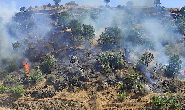Sason'da korkutan yangın kontrol altına alındı