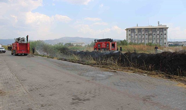 Sazlık alanda çıkan yangın itfaiyenin müdahalesiyle söndürüldü