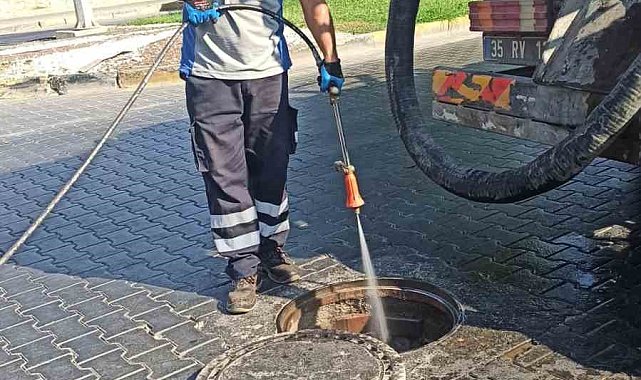 Selçuk'ta haşereyle mücadelede önlemler artırıldı