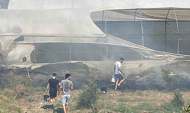 Serik'te korkutan yangında seralar zarar gördü