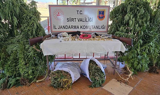 Siirt'te evinde kenevir eken zanlı tutuklandı