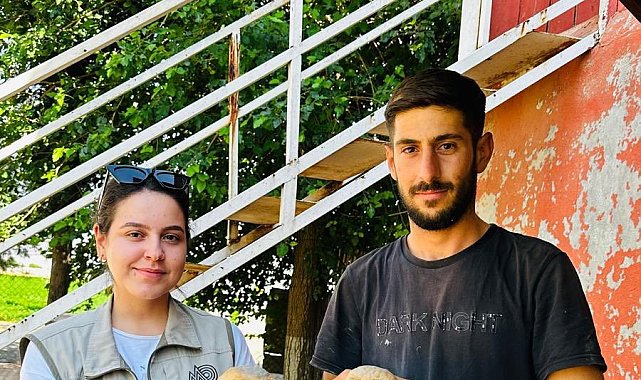 Silopi'de yaralı bulunan peçeli baykuş tedavi altına alındı