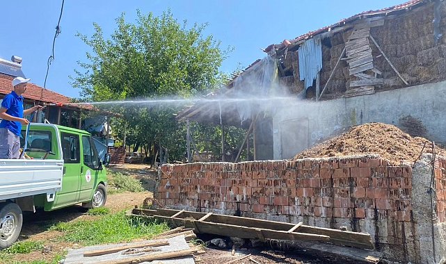 Sineklere karşı mücadele sürüyor