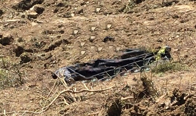 Sinop'ta iş makinesinin altında kalan operatör hayatını kaybetti