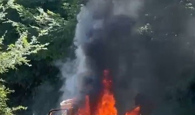 Sinop'ta otomobil alevlere teslim oldu