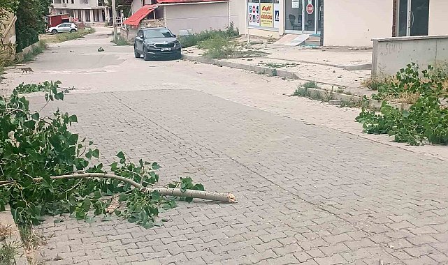 Şiran'ı fırtına vurdu