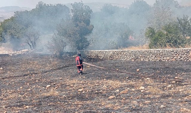 Şırnak'ta örtü yangını