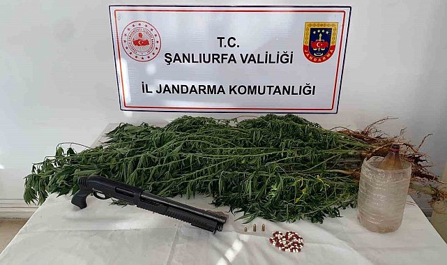 Siverek'te uyuşturucu operasyonu: 2 gözaltı