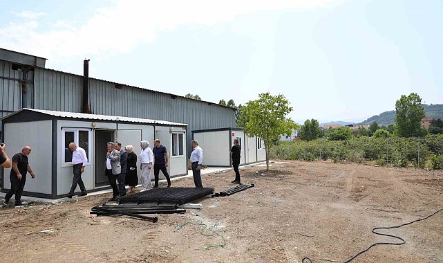 Sokak hayvanları sorununa Düzce modeli çözüm