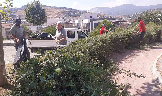 Söke Belediyesi'nden park ve bahçelerde yoğun çalışma