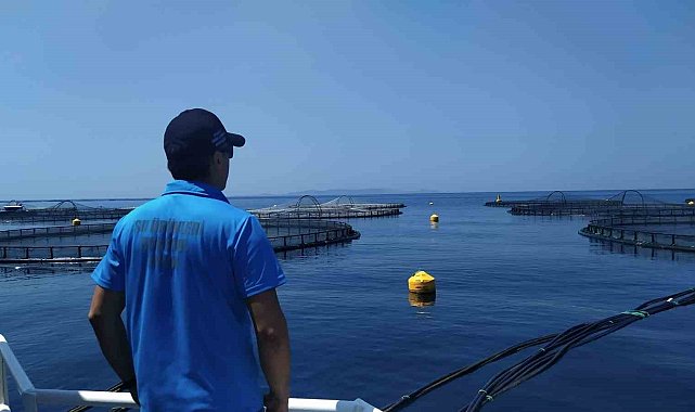 Söke'de balık çiftlikleri denetlendi