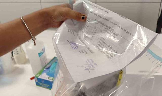 Söke'den Rusya'ya ihraç edilecek balıklar için sağlık kontrolü