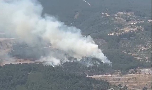 Soma&#039;da orman yangını