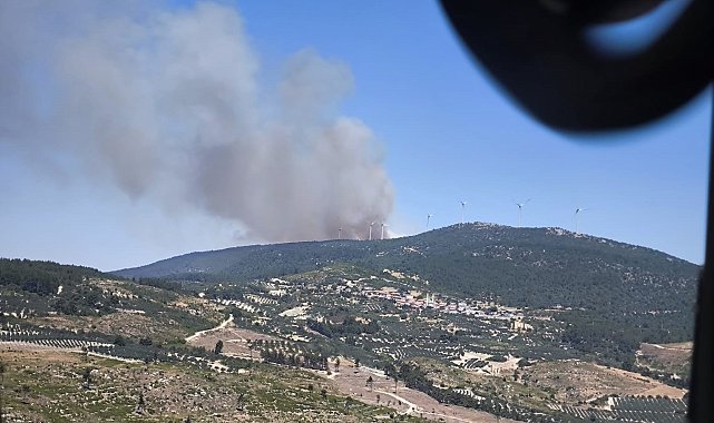 Soma'da orman yangını
