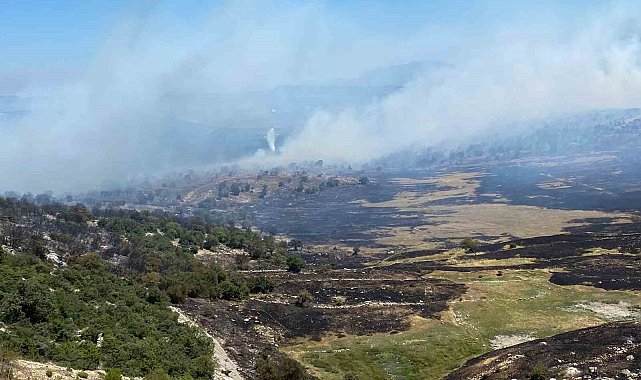 Soma'daki orman yangınında bir mahalle tahliye edildi