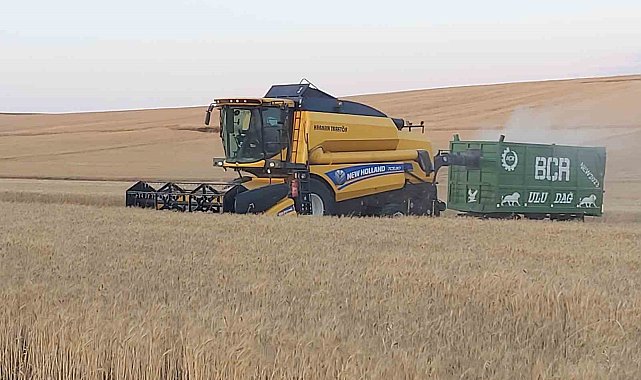 Sorgun'da 770 bin dekarda hububat hasadı yapılacak
