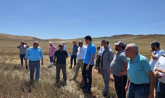 Sungurlu'da biçerdöverler kontrol ediliyor