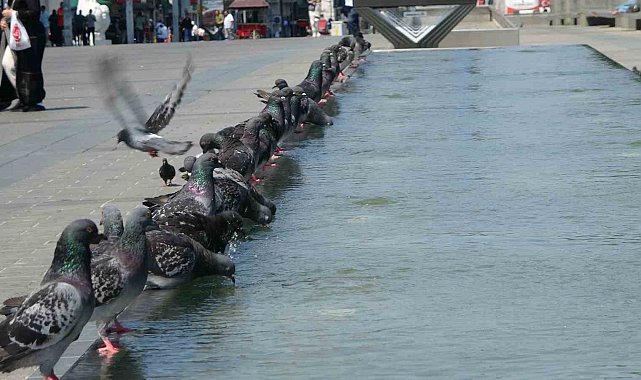 Taksim'de vatandaşların sıcak ile imtihanı