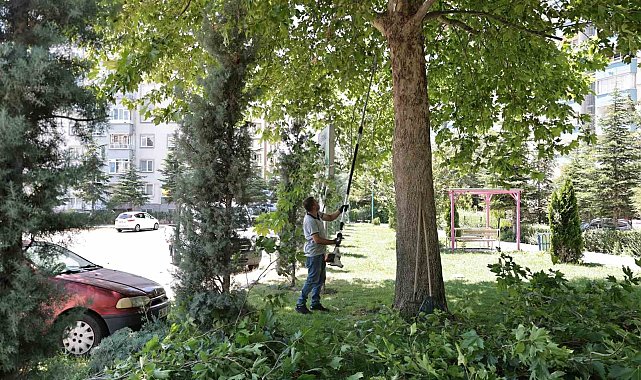 Talas'ta park ve bahçelere yaz bakımı