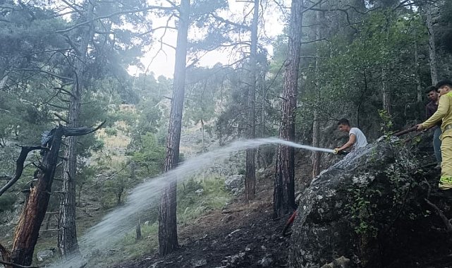 Tarsus'ta orman yangını kısa sürede söndürüldü